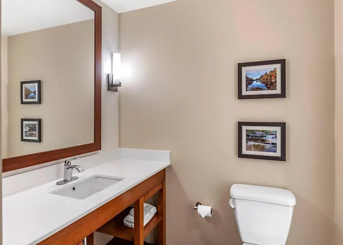 Comfort Inn & Suites Clarkston Pine Knob Area